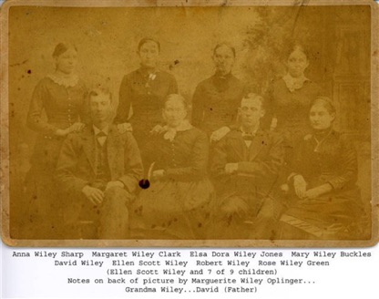 Ellen Scott Wiley and children Anna - Margaret - Elsa - Mary - Rose - Robert - David